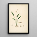 Plants of the Coromandel Coast Pl081 - William Roxburgh — framed artwork on a wall