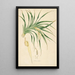 Plants of the Coromandel Coast Pl094 - William Roxburgh — framed artwork on a wall
