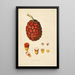 Plants of the Coromandel Coast Pl096 - William Roxburgh — framed artwork on a wall