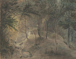 View from the source pavilion at Echo - William Russell Birch — artwork view