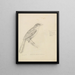 A bird - William Swainson — framed artwork on a wall