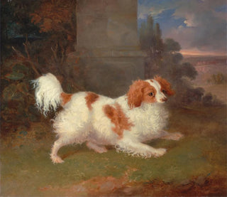 An English Springer Spaniel of Blenheim - William Webb — artwork view