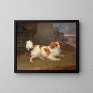 An English Springer Spaniel of Blenheim - William Webb — framed artwork on a wall