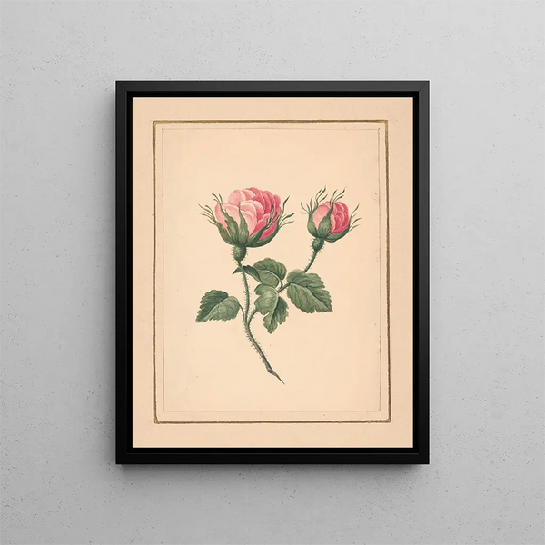 Fleurs de rose sur tige avec feuilles - William Wood Thackara — framed artwork on a wall