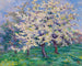 Pommier en fleurs - Willy Schlobach — artwork view