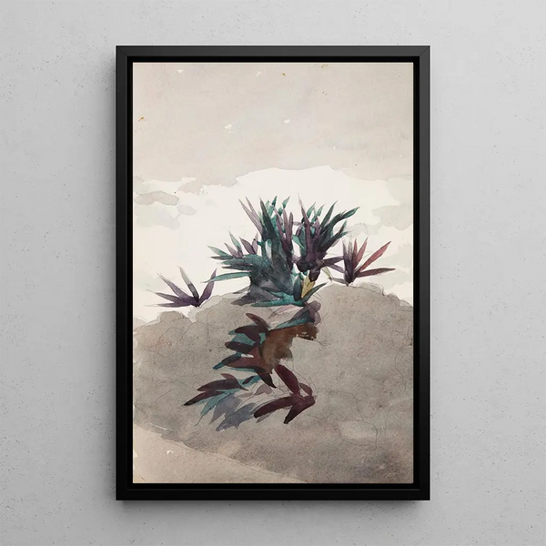 Hill with bunches of maguey - Winslow Homer — framed artwork on a wall