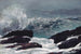 Côte du Maine - Winslow Homer — artwork view