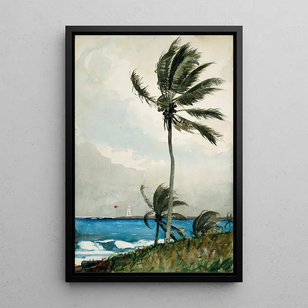 Palmier à Nassau - Winslow Homer — framed artwork on a wall