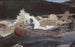 Descente des rapides, rivière Saguenay - Winslow Homer — artwork view