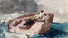 The Gulf Stream - Winslow Homer — artwork view