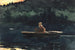 L'essor - Winslow Homer — artwork view