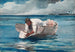 The Water Fan - Winslow Homer — artwork view