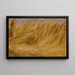 Study of a cornfield - Włodzimierz Tetmajer — framed artwork on a wall