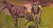 Two Horses Sketch - Włodzimierz Tetmajer — artwork view