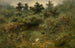 At the edge of the stream - Xavier de Cock — artwork view