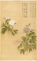 Peonies - Yun Shouping — framed artwork on a wall