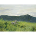 Reproduction of the painting Zebra in the steppe - Wilhelm Kuhnert