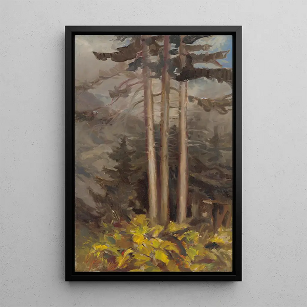 Épicéas - Zolo Palugyay — framed artwork on a wall
