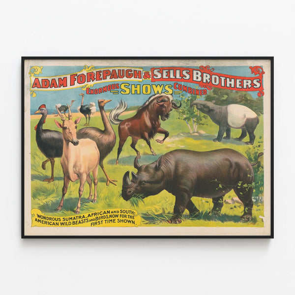 Vintage Decorative Poster of Exotic Animals Adam Forepaugh & Sells Brothers — framed artwork on a wall