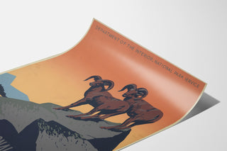Vintage National Parks "Preserve Wild Life" poster, presented on a curled sheet, viewed in perspective.