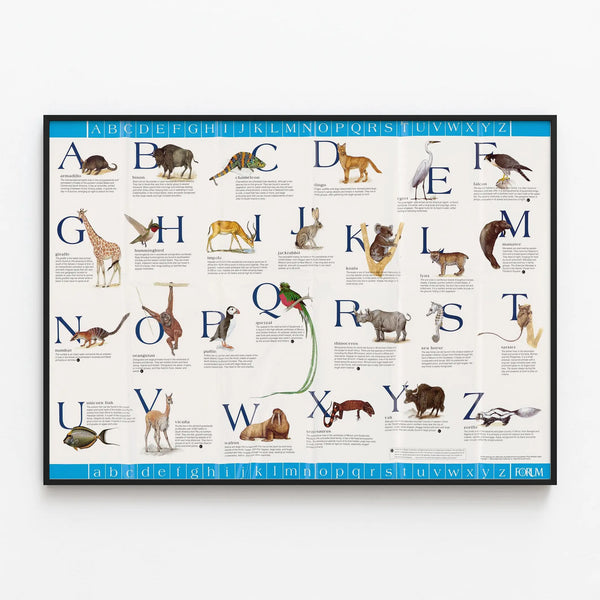 Animal Alphabet Poster with Illustrations — framed artwork on a wall