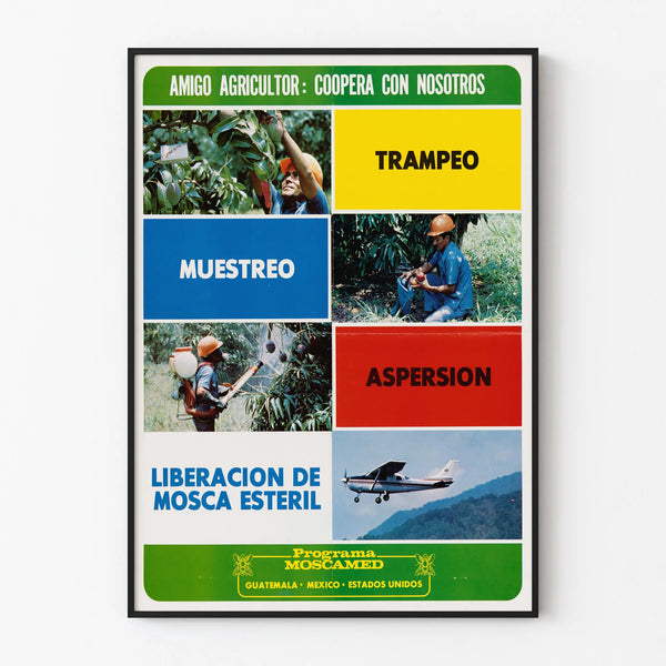 Agricultural Poster for Moscamed Awareness Program – Sterile Fly Control