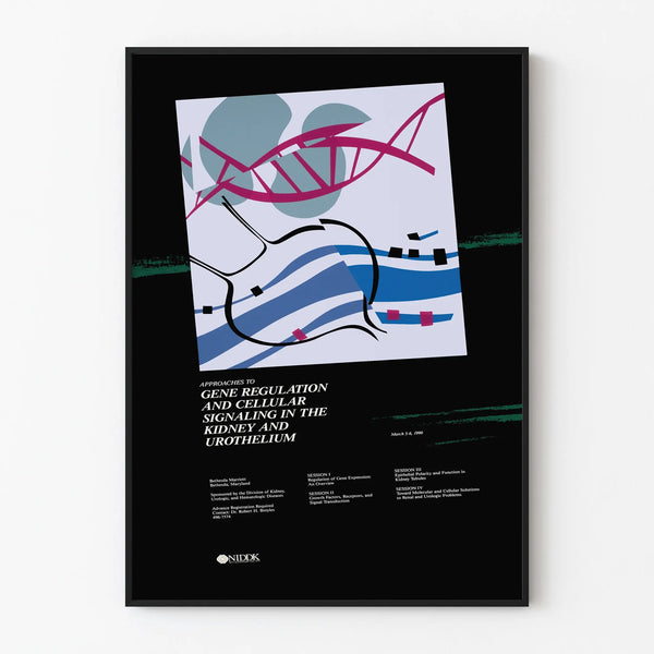 Scientific poster on genetic regulation and renal cell signaling
