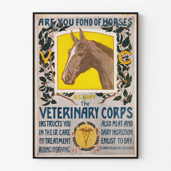 Vintage US Army Veterinary Corps poster of a horse and care