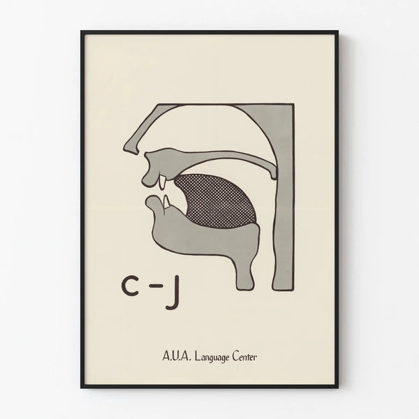 Educational Poster of Anatomy of Pronunciation C-J