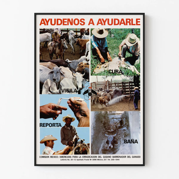 Vintage poster on livestock care and prevention
