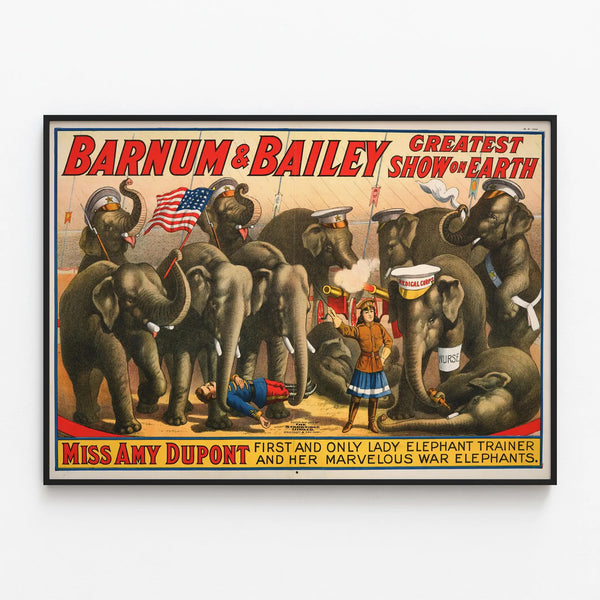 Barnum & Bailey Circus Poster with Elephants and Miss Amy Dupont — framed artwork on a wall
