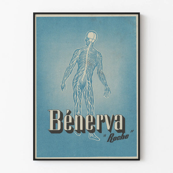 Vintage Poster Bénerva Roche Illustration of the Human Nervous System