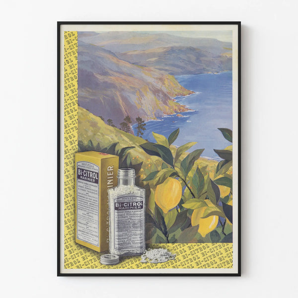 Vintage Bi-Citrol Marine Poster Wall Decoration