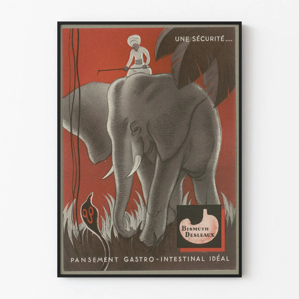 Vintage poster Bismuth Desleaux - Retro gastrointestinal wall decoration