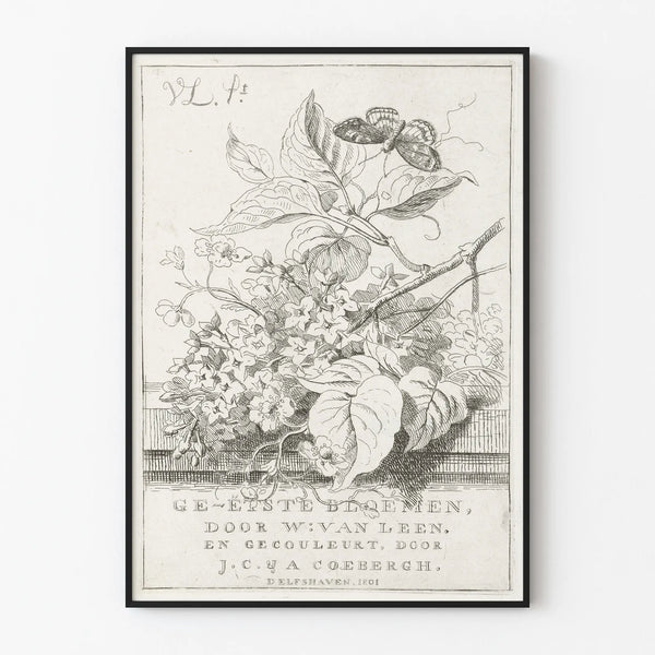 Vintage botanical poster with butterfly and detailed flowers