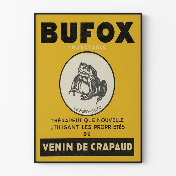 Vintage Bufox Frog Venom Poster Wall Decoration