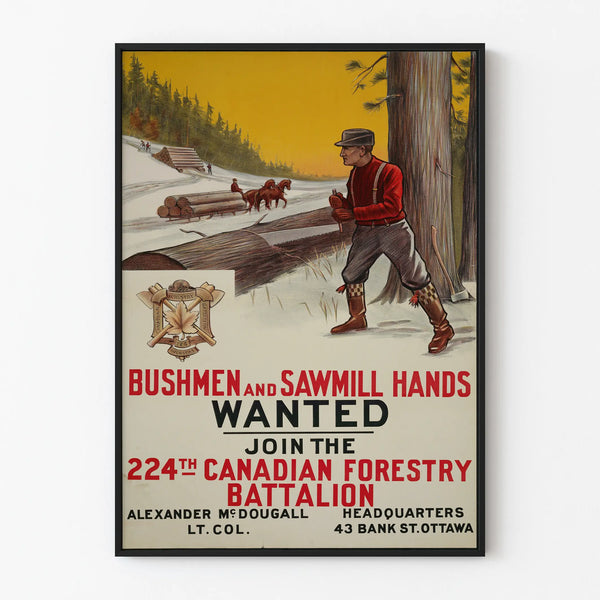 Vintage recruitment poster of the Canadian Forest Battalion 224th