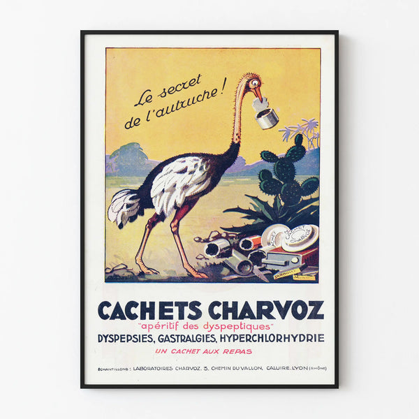 Vintage poster Cachets Charvoz - Retro health wall decoration