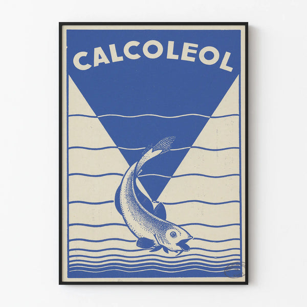 Vintage blue poster Calcoleol with stylized fish