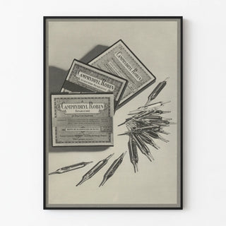 Vintage poster of Camphydryl Robin light bulbs