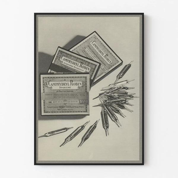 Vintage poster of Camphydryl Robin light bulbs