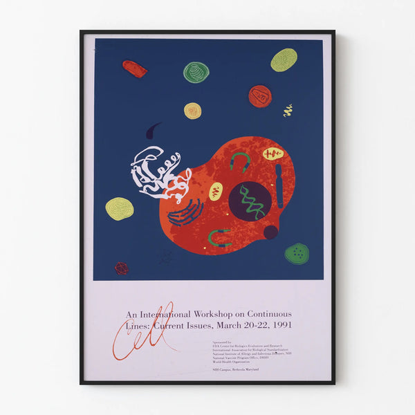International Workshop Poster on Continuous Lines - Abstract Scientific Design