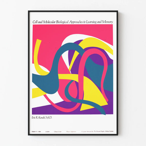 Decorative Poster on Cellular and Molecular Approaches to Learning and Memory