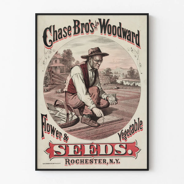 Vintage Poster Chase Bros and Woodward Flower and Vegetable Seeds