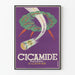 Vintage Poster Cicamide Healing Powder