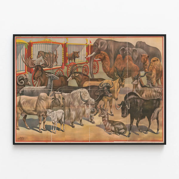 Vintage Circus Animal Poster for Wall Decoration — framed artwork on a wall