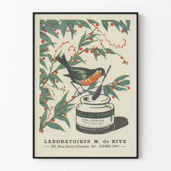 Vintage poster Collucromex - Elegant retro wall decoration
