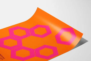 Modern Poster Conference on Cellular Secretion in Orange and Pink