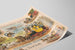 Vintage poster D. Rosenberg & Sons Standard Carriage Varnishes New York — artwork view