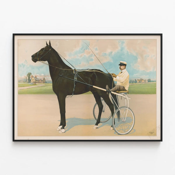 Dan Patch Racing Horse Poster — framed artwork on a wall